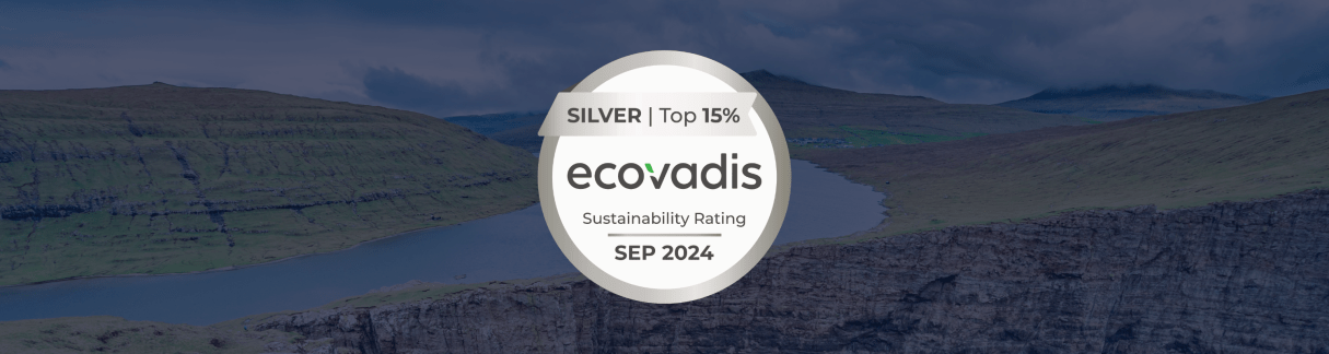 Silver Ecovadis